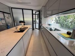 Carlisle Road (D8), Terrace #638639951